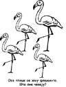 r_flamingo