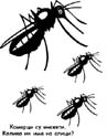 r_komarci