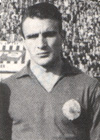 Branislav Mihajlović Slina