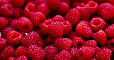 maline