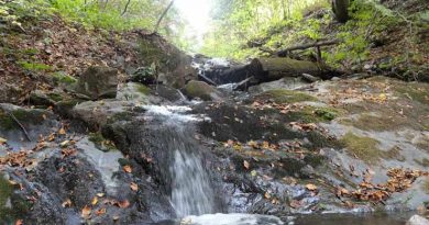 planina-jastrebac-potok