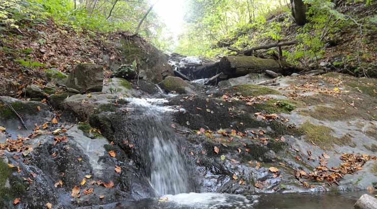 planina-jastrebac-potok