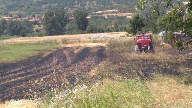 Ne pali strnjiku