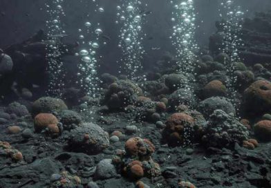 Potvrđeno: kiseonik se može stvarati i bez fotosinteze — tajna „mračnog kiseonika“ u dubokom Pacifiku kiseonik