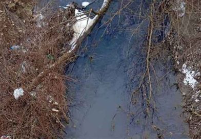 PEPELJUŠA KAO OTVORENI KANAL: Fekalne vode kroz centar Aleksandrovca Pepeljuša