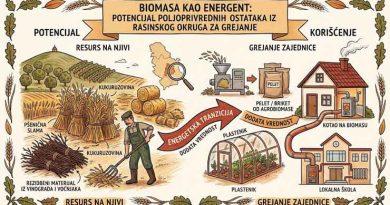 biomasa