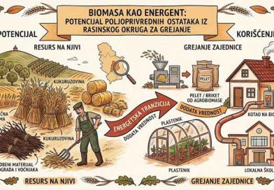 biomasa