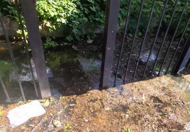 Od istorijskog nasleđa do žabokrečine