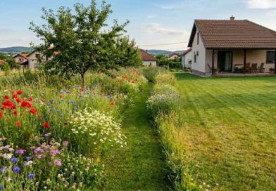 meadowscaping
