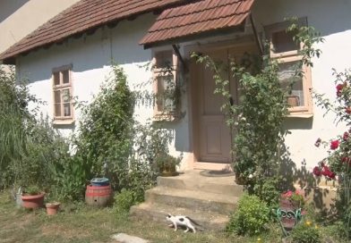 Beograd zamenili Malom rekom, sačuvali starinsko domaćinstvo Beograd zamenili Malom rekom, sačuvali starinsko domaćinstvo