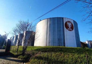 „Vino Župa“ čeka ispitno ročište u stečajnom postupku, deo bivših radnika našao uhlebljenje